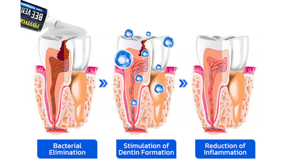 Fivfivgo™ Bee Venom Care Toothpaste