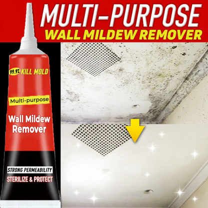 Multi-purpose Wall Mildew Remover