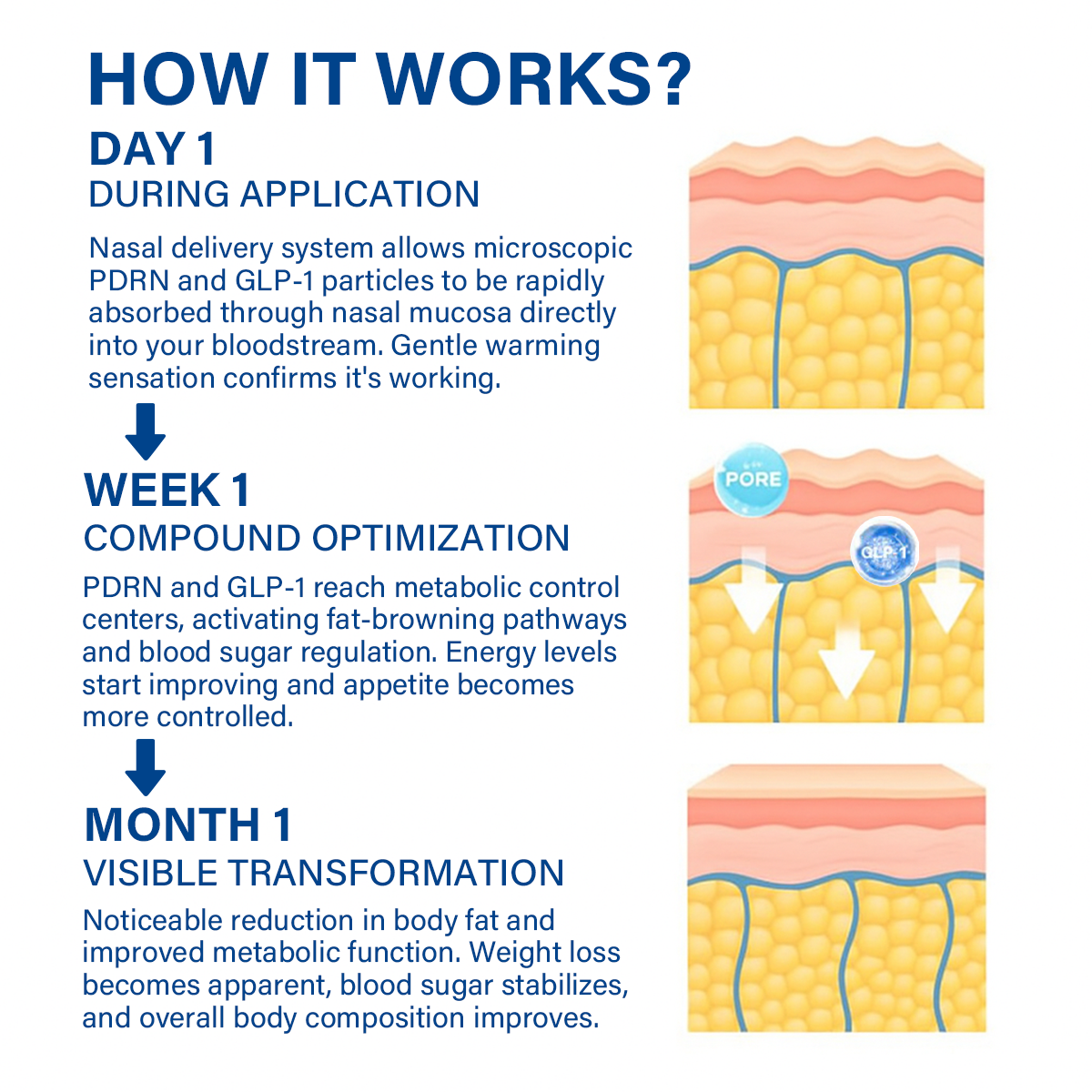 Oveallgo® PDRN-GLP-1 Slimming & Blood Sugar Regulating Nasal Inhalation 14 Oveallgo® PDRN-GLP-1 Slimming & Blood Sugar Regulating Nasal Inhalation