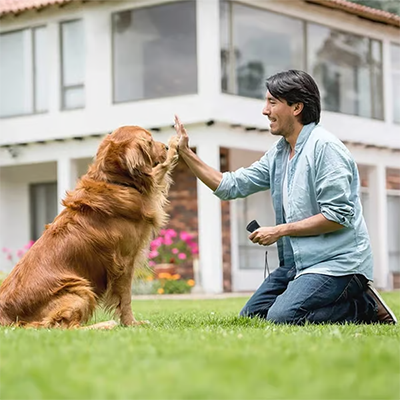 Ultrasonic Anti-Barking Dog Device