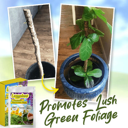 Lazy Plant Food Fertilizer Sticks