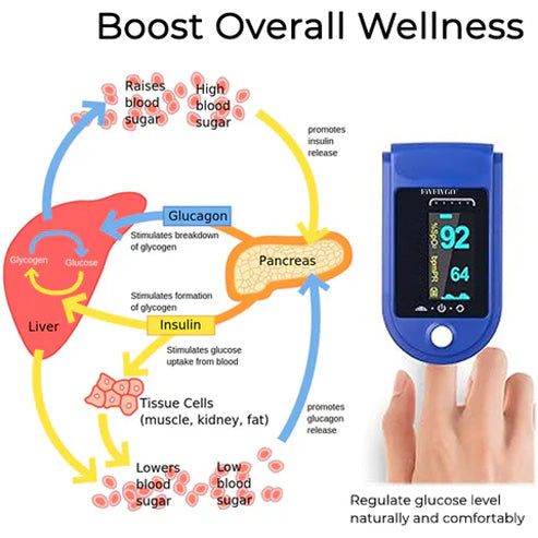 Portable High-Precision Blood OxiMeter