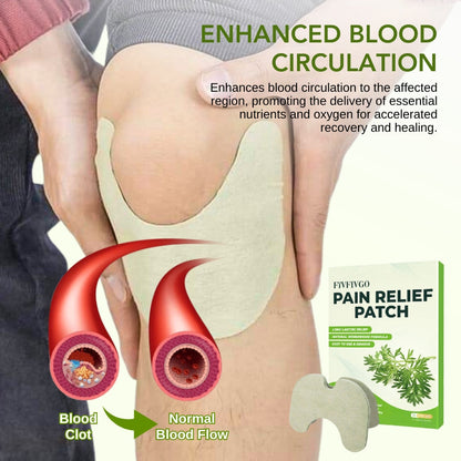 Fivfivgo™ Herbal Pain Relief Patches